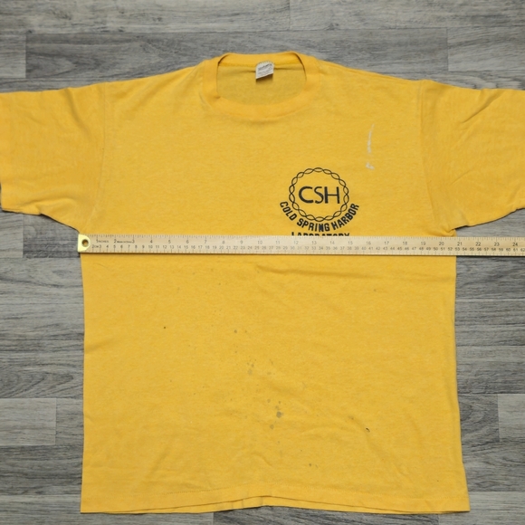 Vintage 70s 80s Cold Springs Harbor Laboratory Single Stitch T-Shirt Large USA - Picture 7 of 10